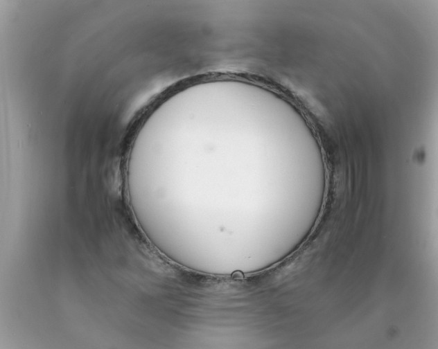 X0000089871262200707262142