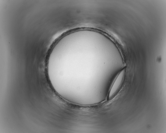 X0000089871264200707262142