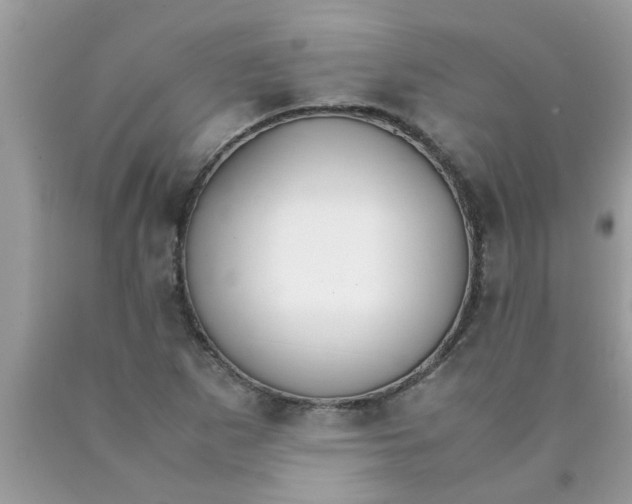 X0000089871265200707262142