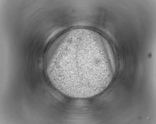 X0000089871266200707262142