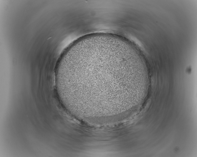 X0000089871267200707262142