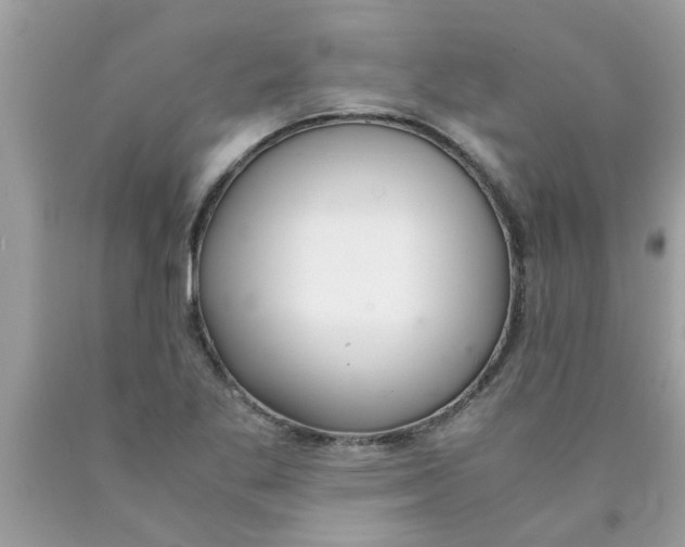 X0000089871269200707262142