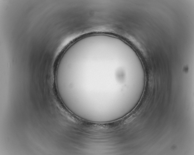 X0000089871270200707262142