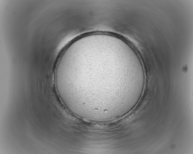 X0000089871271200707262142