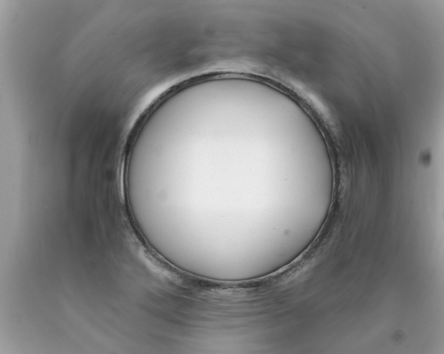 X0000089871272200707262142