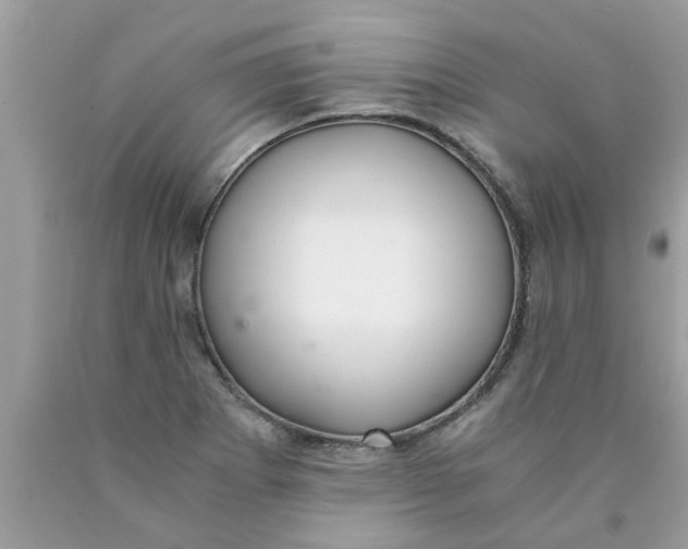 X0000089871273200707262142