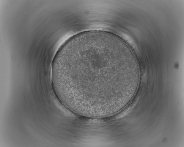 X0000089871275200707262142