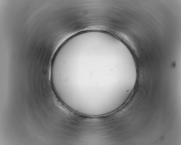 X0000089871276200707262142