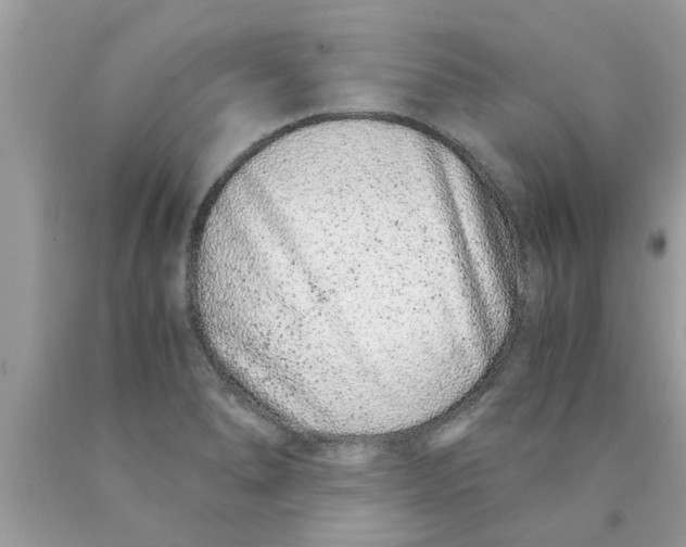 X0000089871278200707262142