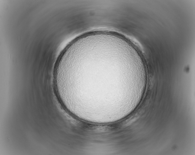 X0000089871279200707262142