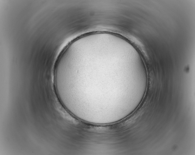 X0000089871280200707262142