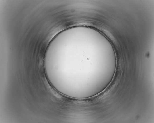 X0000089871281200707262142