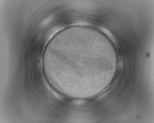 X0000089871282200707262142