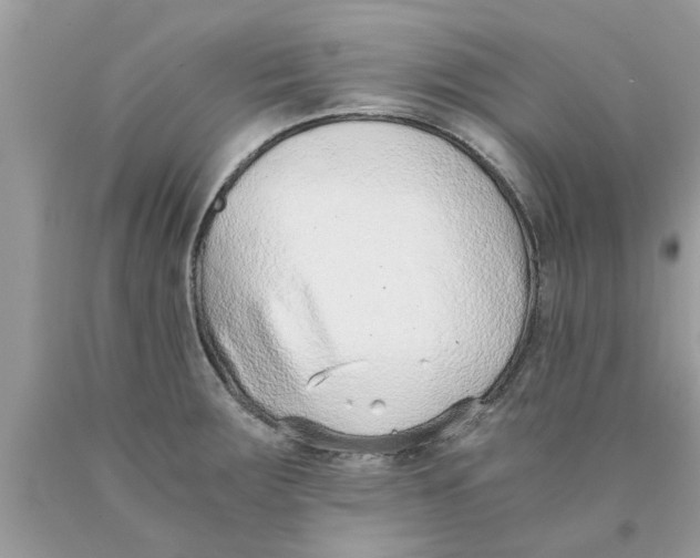 X0000089871283200707262142