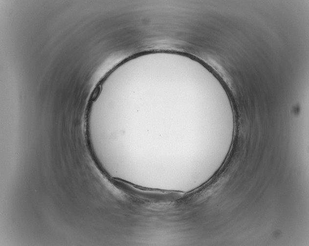 X0000089871285200707262141