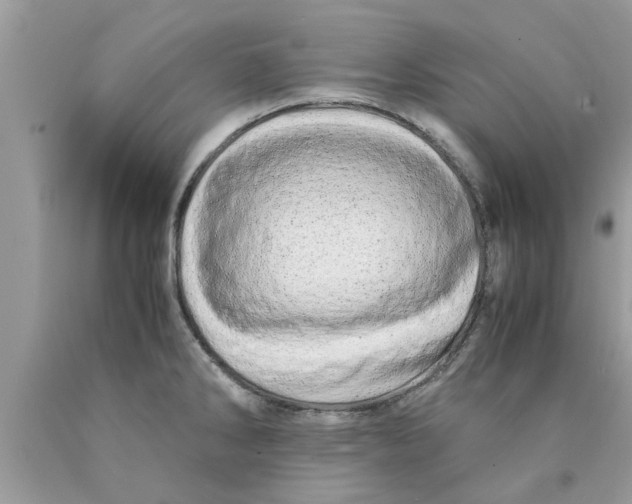 X0000089871286200707262141