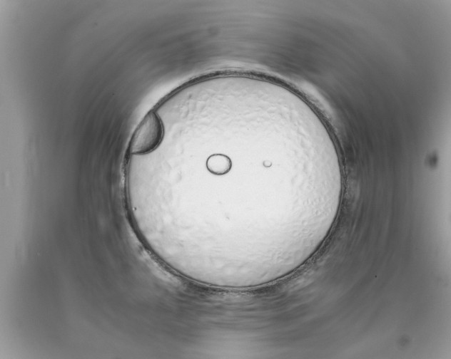 X0000089871287200707262141