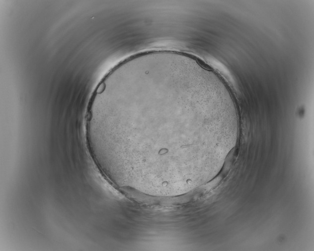 X0000089871288200707262141