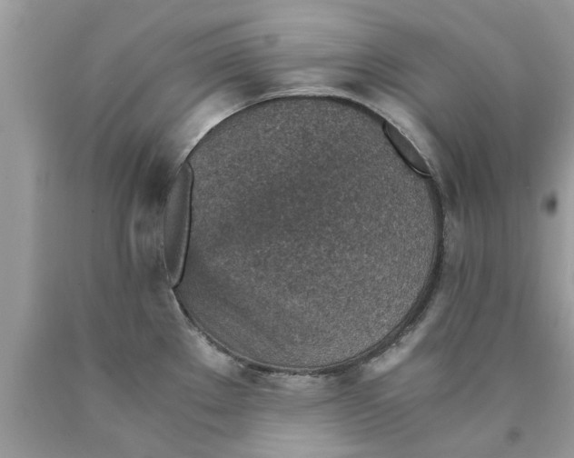 X0000089871289200707262141