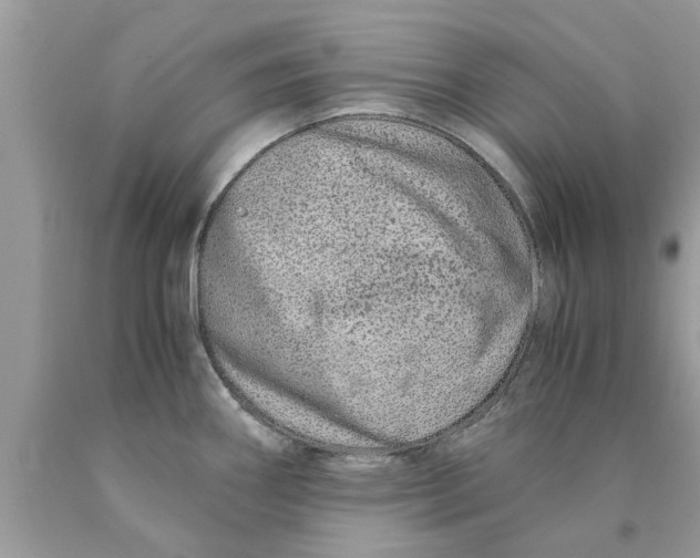 X0000089871290200707262141