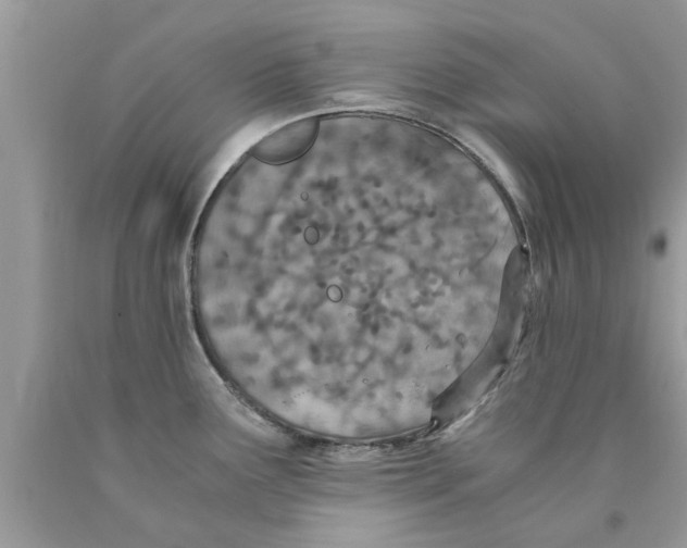 X0000089871291200707262141