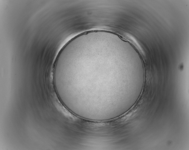 X0000089871292200707262141