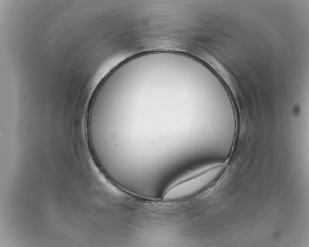 X0000089871293200707262141