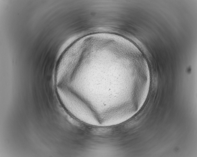 X0000089871294200707262141