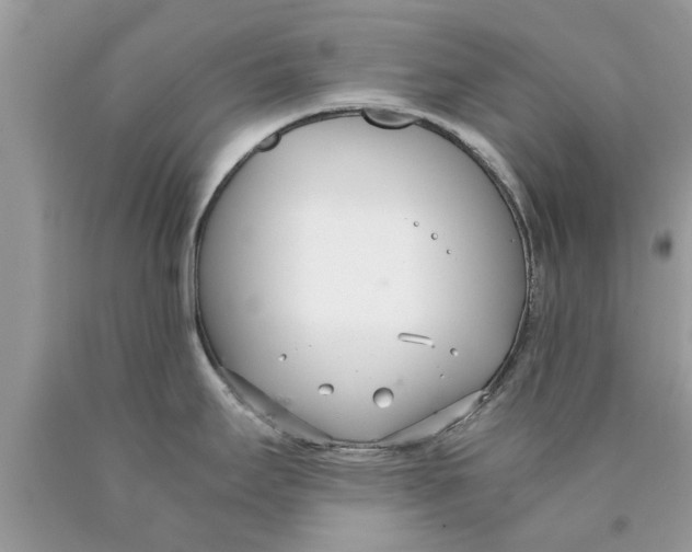 X0000089871295200707262141