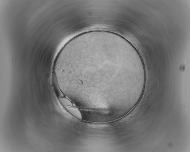 X0000089871296200707262141