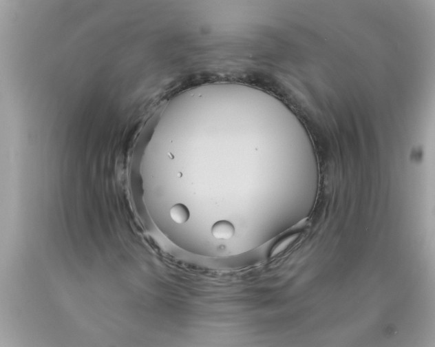 X0000089871298200707262141