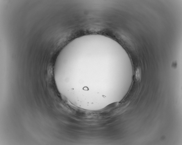 X0000089871299200707262141