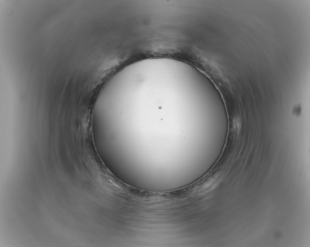 X0000089871300200707262141