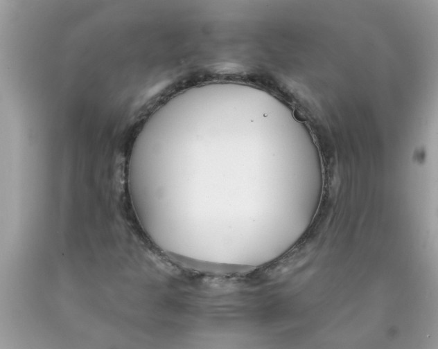 X0000089871301200707262141