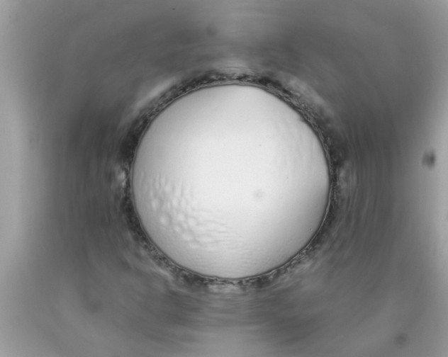 X0000089871302200707262141