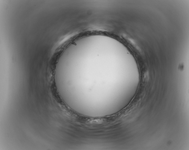 X0000089871303200707262141