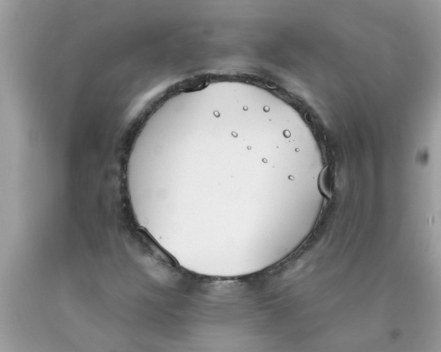 X0000089871304200707262141