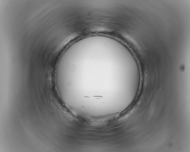 X0000089871305200707262141