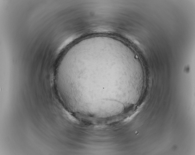 X0000089871306200707262141