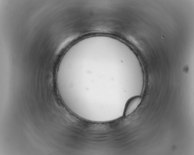 X0000089871307200707262141