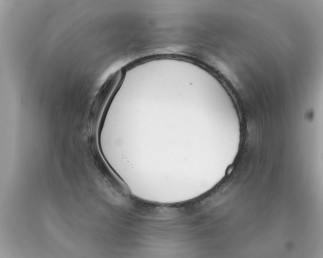 X0000089871308200707262141