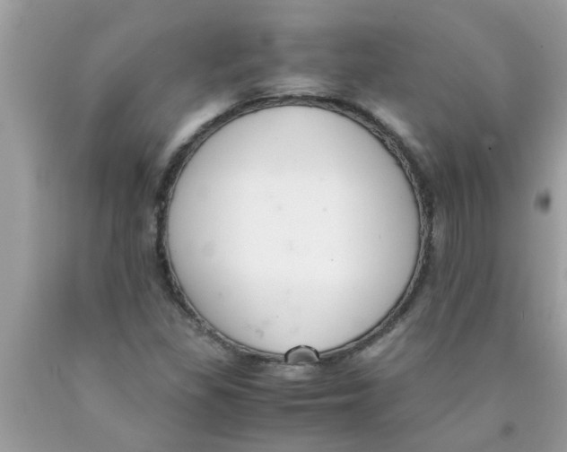 X0000089871309200707262141