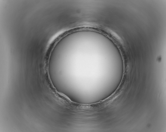 X0000089871310200707262141