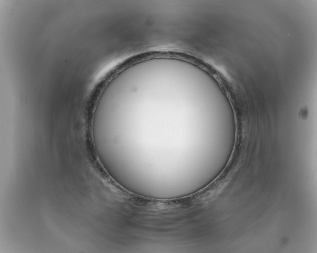 X0000089871311200707262141