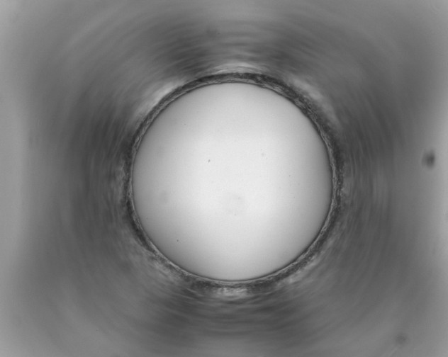 X0000089871313200707262141