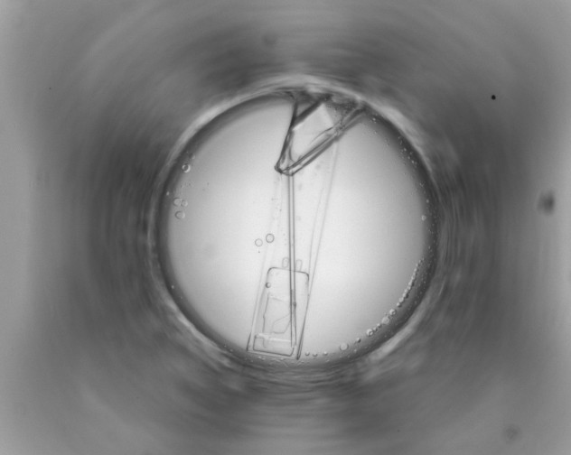 X0000089871314200707262141