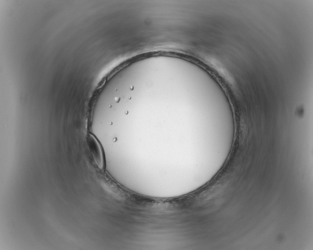 X0000089871316200707262141