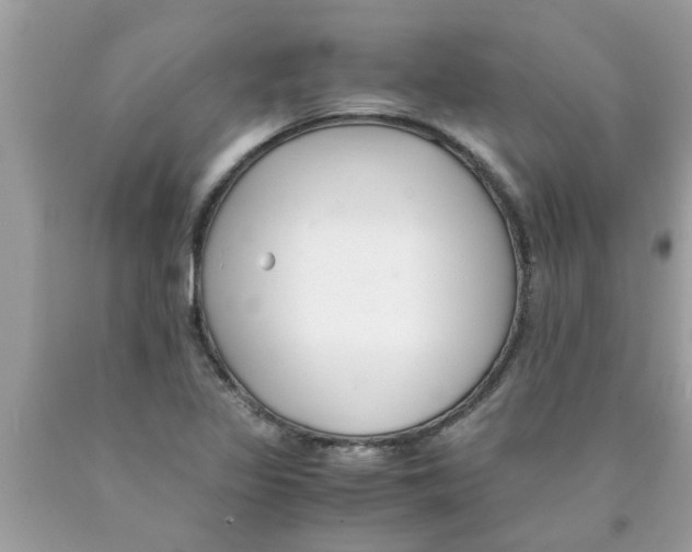 X0000089871317200707262141