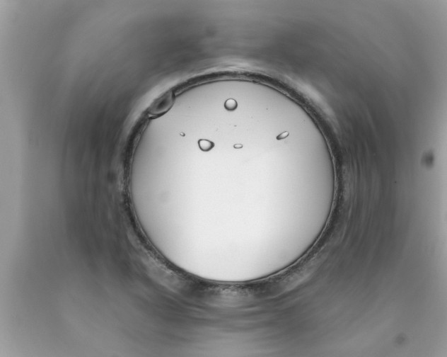 X0000089871318200707262141