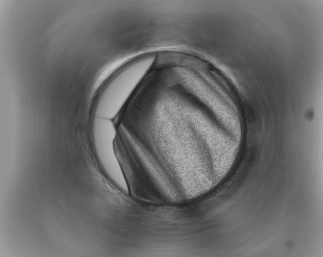 X0000089871319200707262141